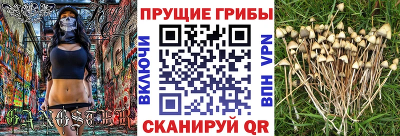 Галлюциногенные грибы GOLDEN TEACHER  где продают   Красный Сулин 